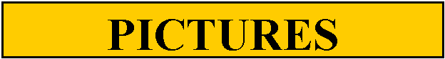 Text Box: PICTURES
